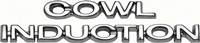 Hood Emblem - "Cowl Induction" - 70-72 Chevelle; 67-81 Camaro