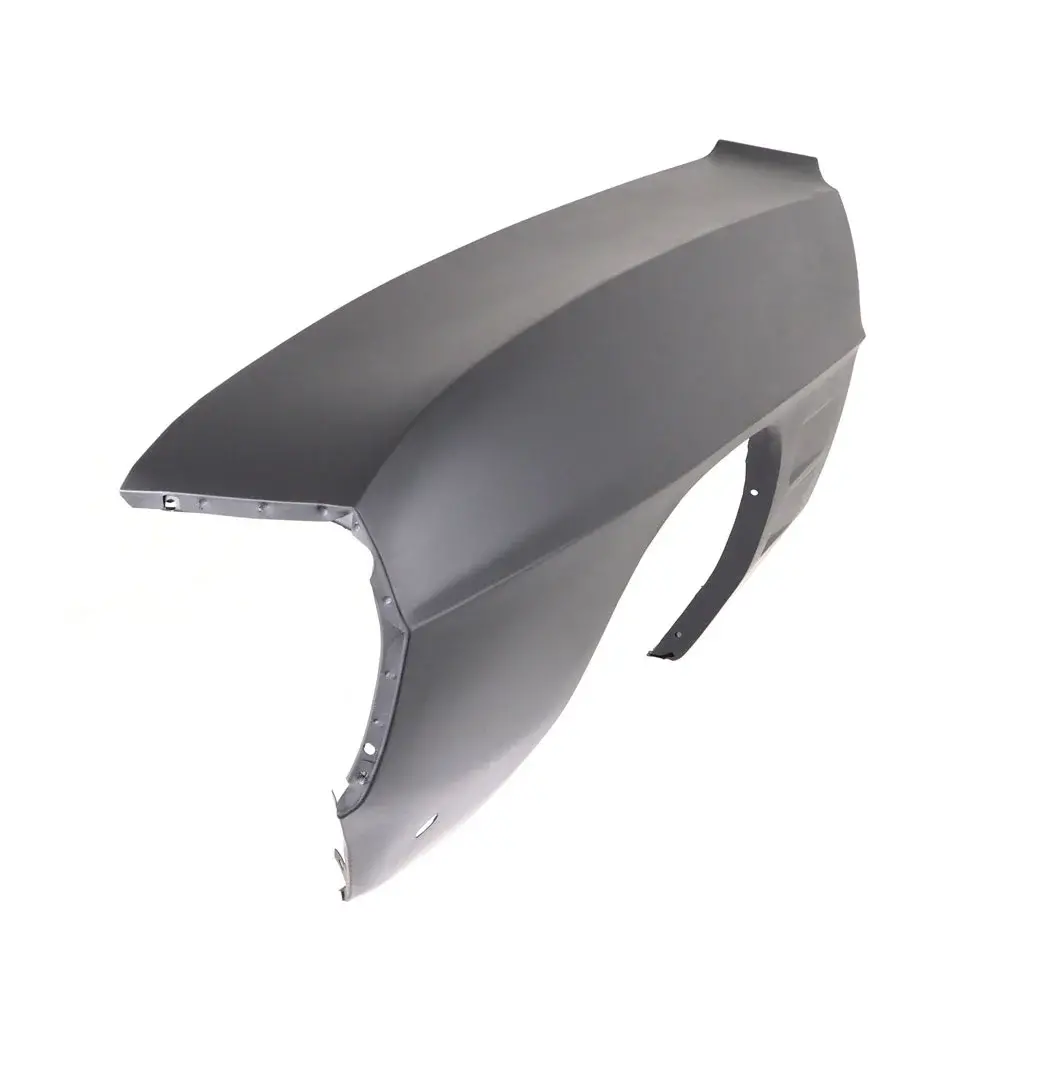 Front Fender - LH - 69 Firebird